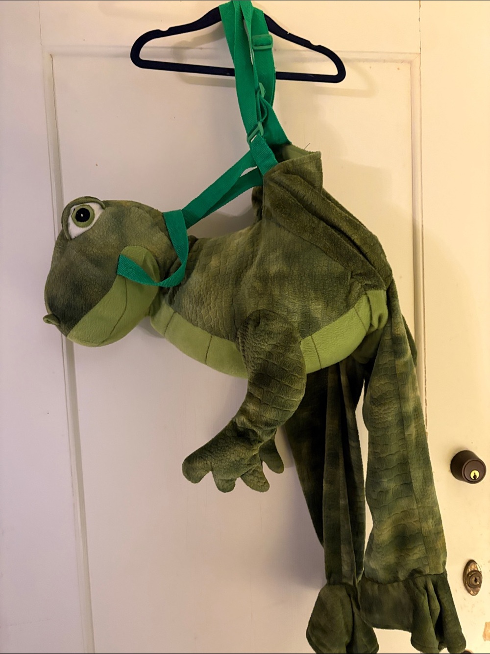 Plush Green Dinosour kid's Costime - Soft Carry Plush